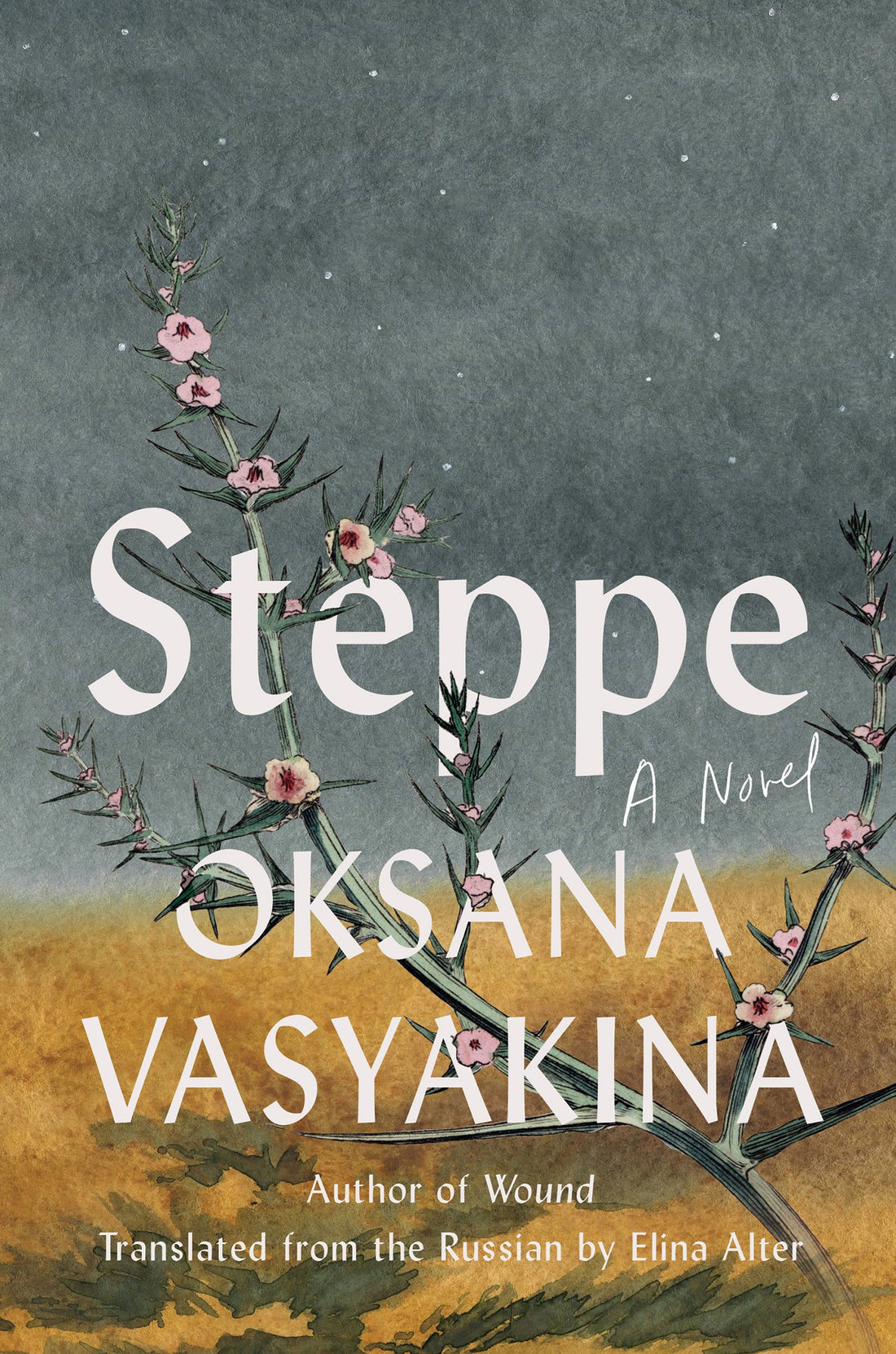 Steppe A Novel by Oksana Vasyakina