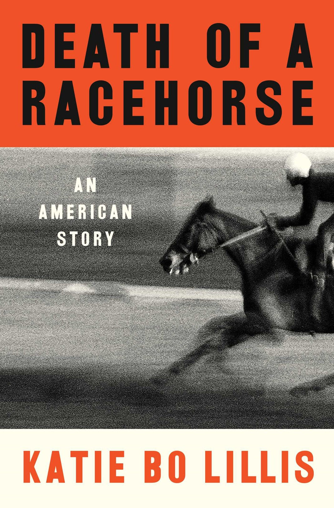 Death of a Racehorse by Katie Bo Lillis