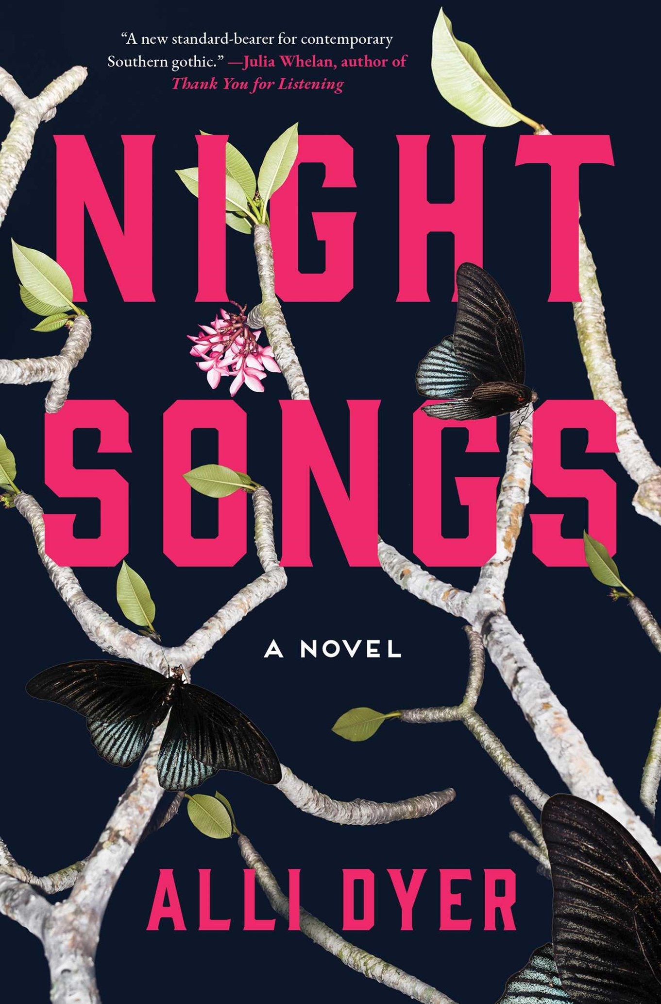 Night Songs by Alli Dyer