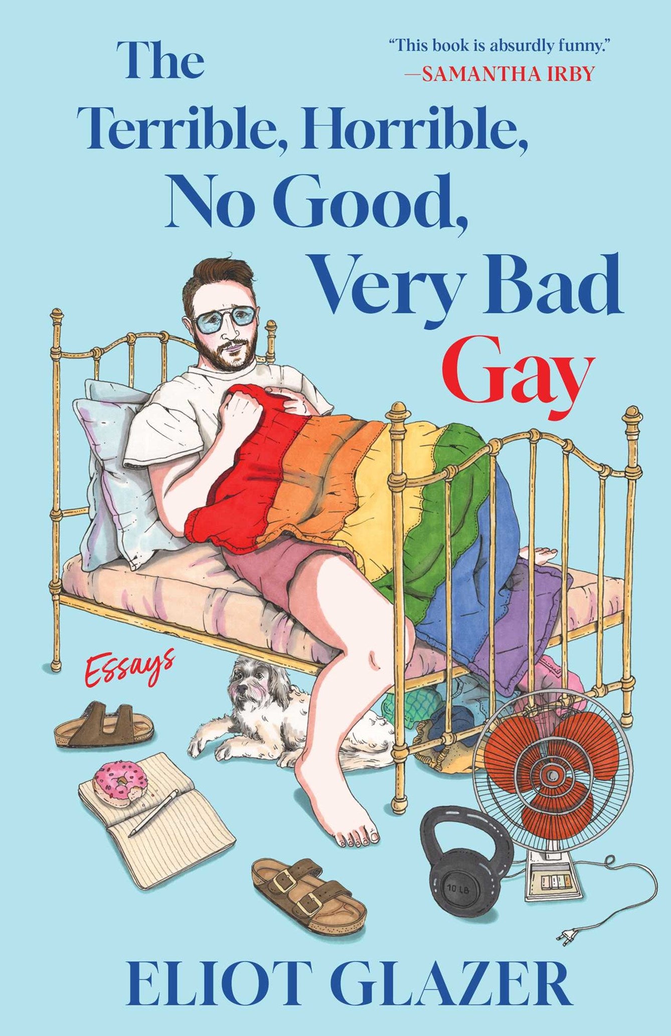 The Terrible, Horrible, No Good, Very Bad Gay by Eliot Glazer