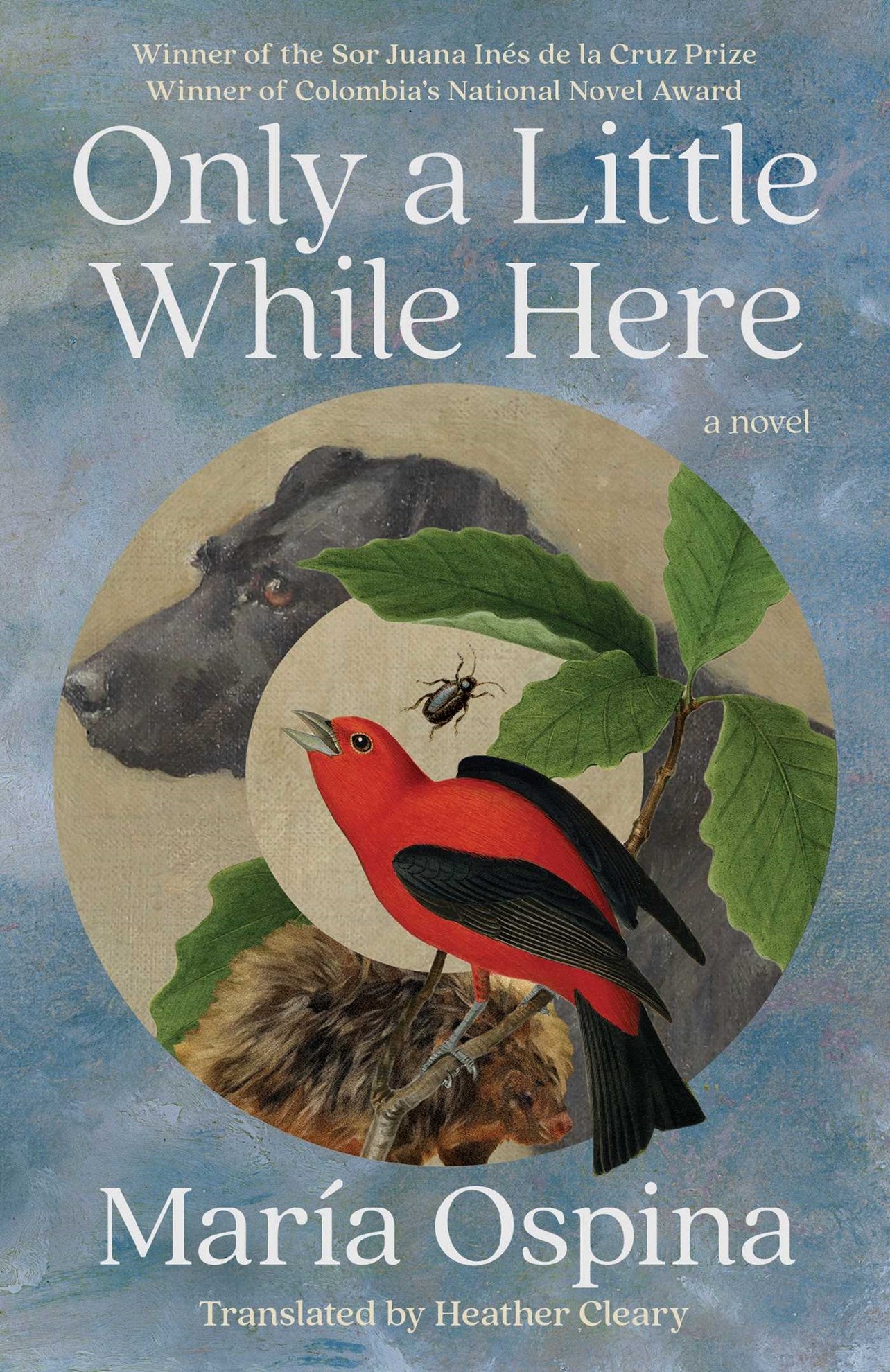 Only a Little While Here by Maria Ospina, Heather Cleary