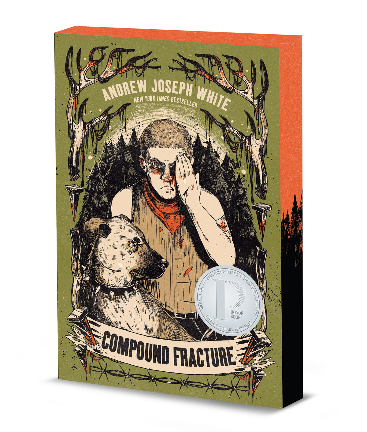 Compound Fracture by Andrew Joseph White