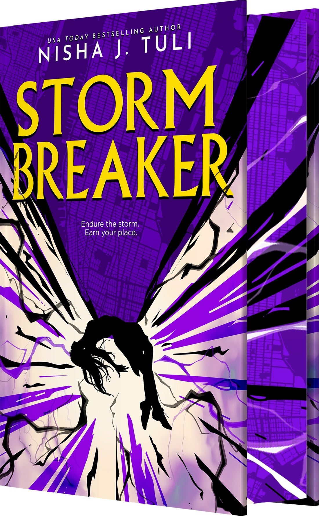 Stormbreaker by Nisha J. Tuli