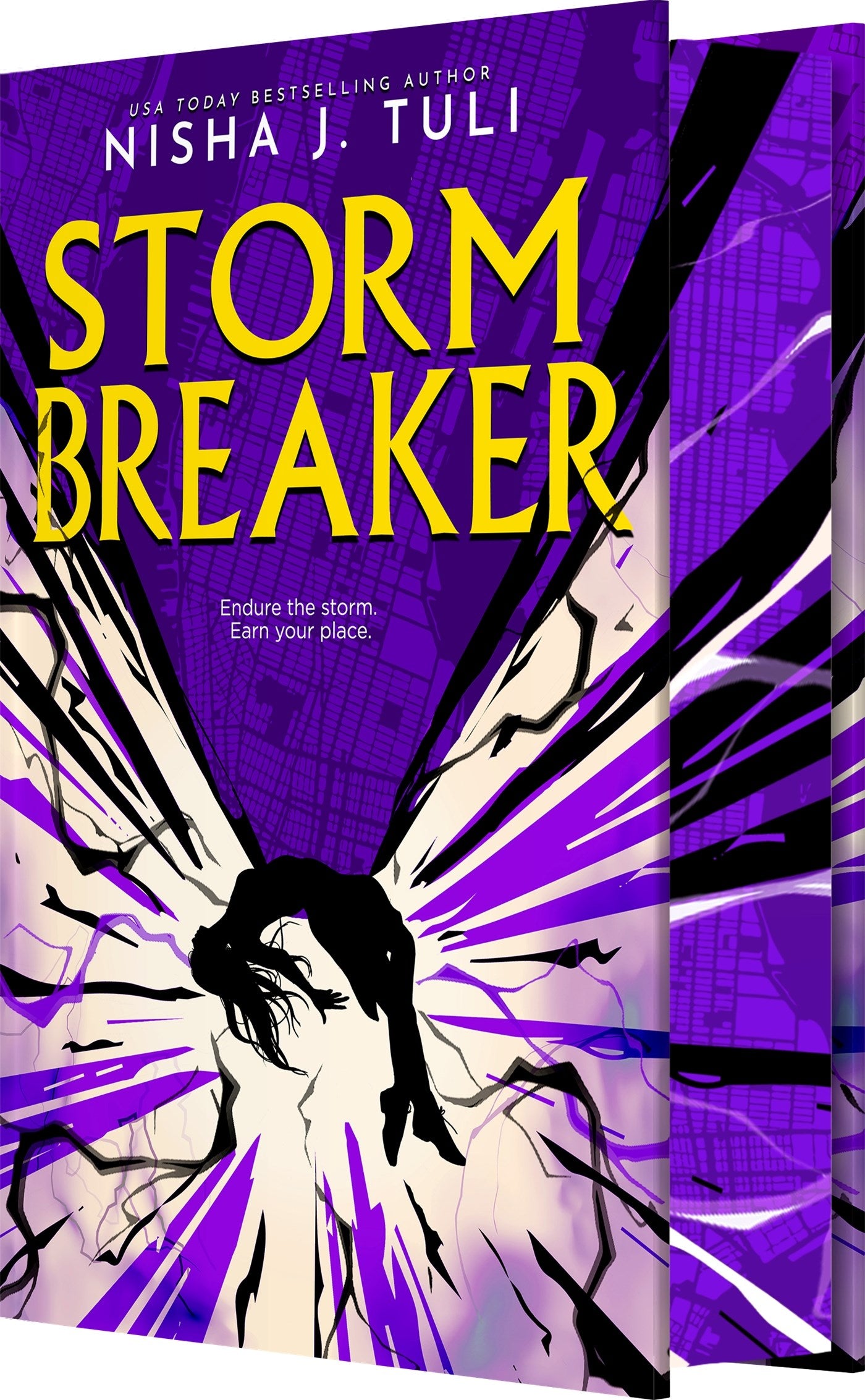 Stormbreaker by Nisha J. Tuli