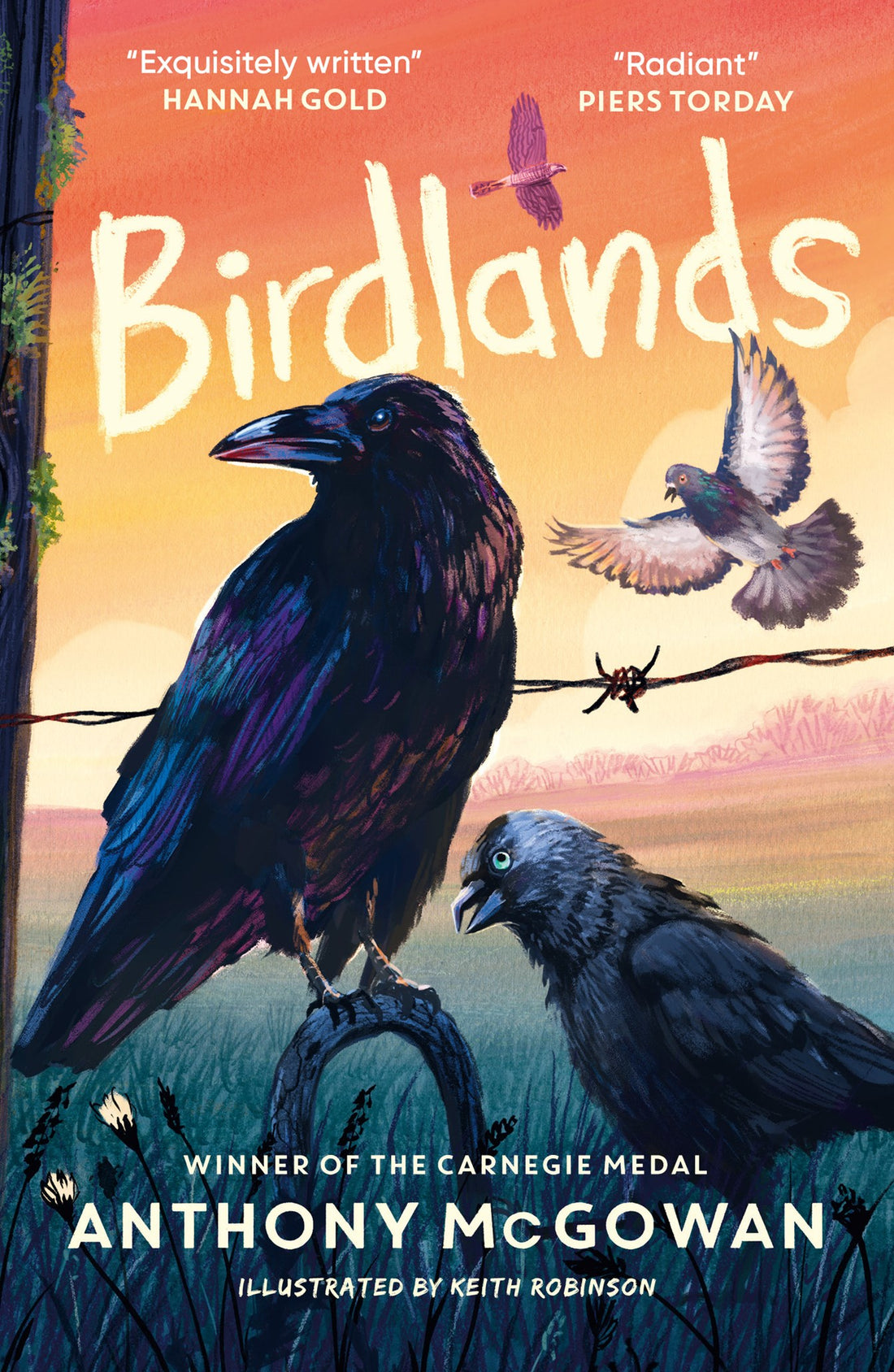 Birdlands by Anthony McGowan