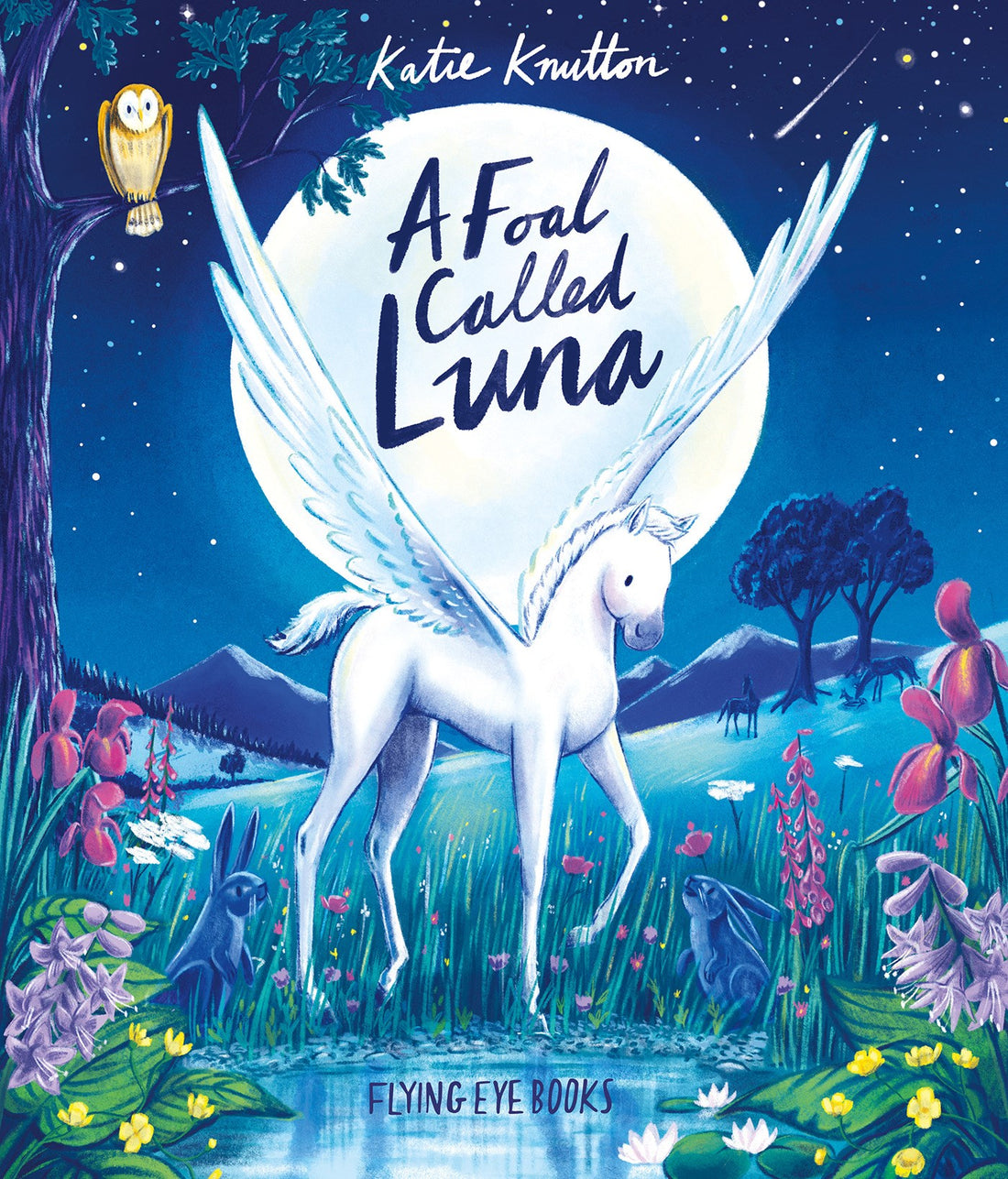 A Foal Called Luna by Katie Knutton