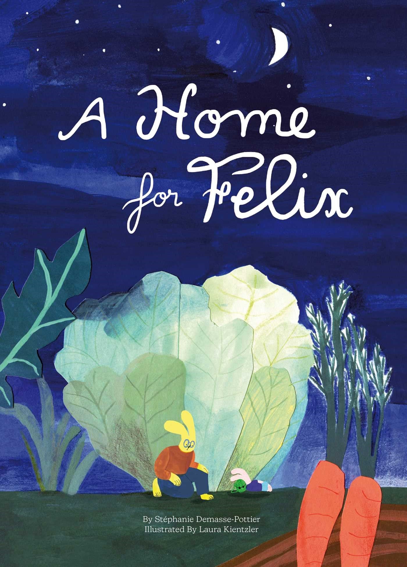 A Home For Felix by Stephanie Demasse-Pottier, Laura Kientzler