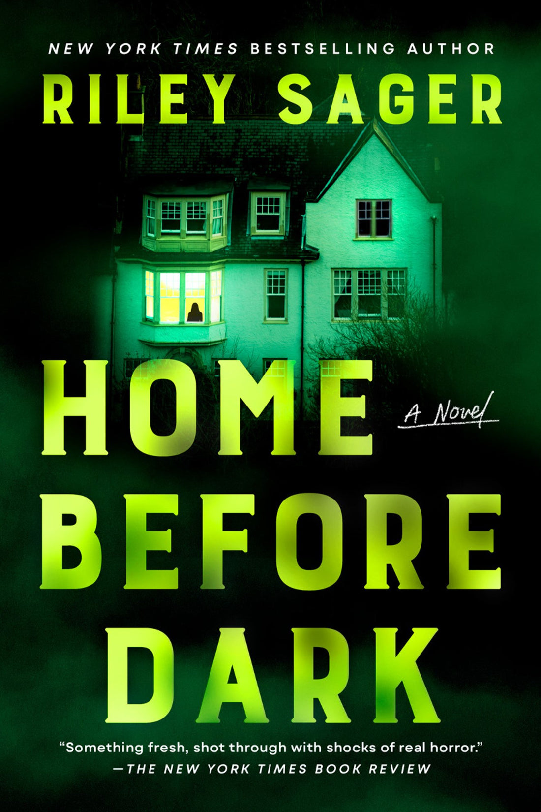 Home Before Dark by Riley Sager