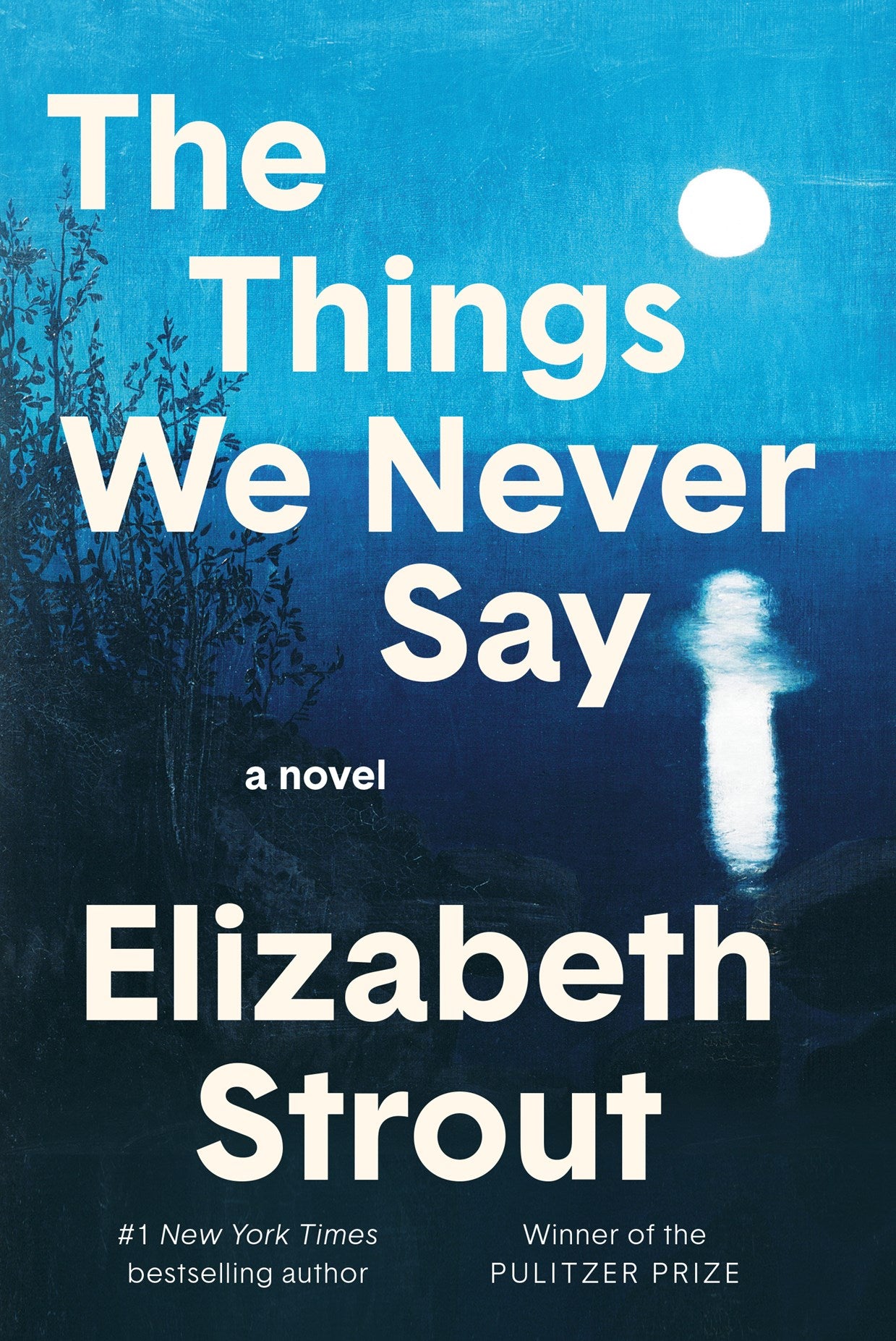 The Things We Never Say by Elizabeth Strout