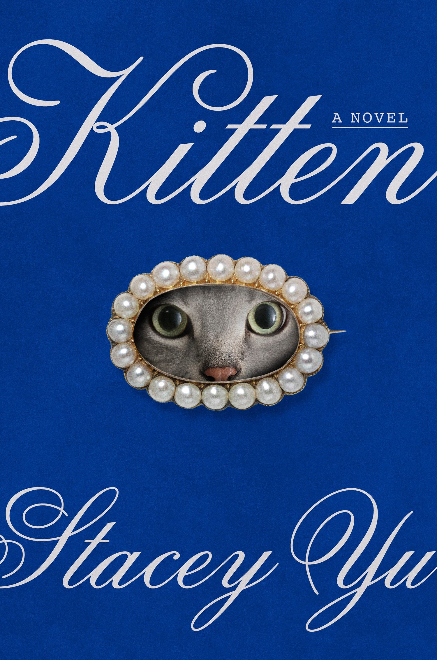 Kitten by Stacey Yu