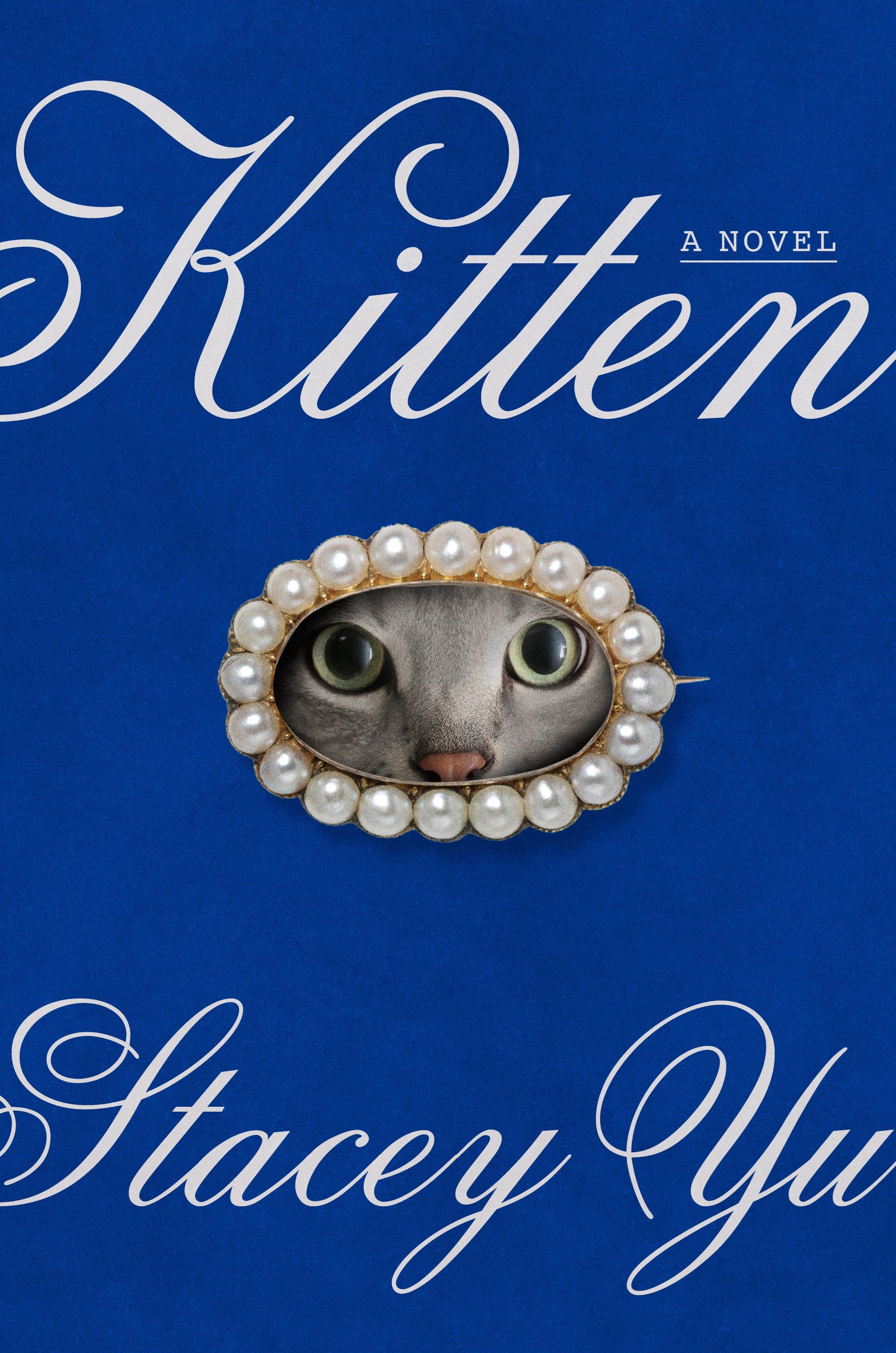 Kitten by Stacey Yu