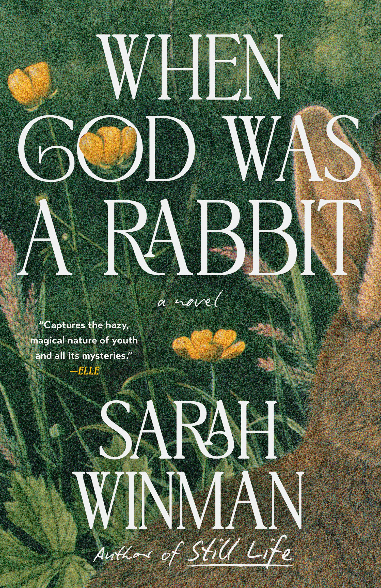 When God Was a Rabbit by Sarah Winman