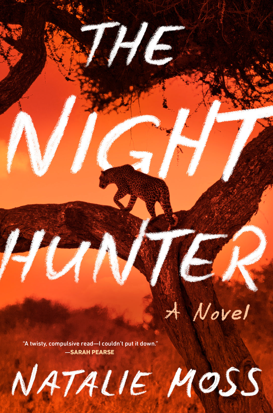 The Night Hunter by Natalie Moss