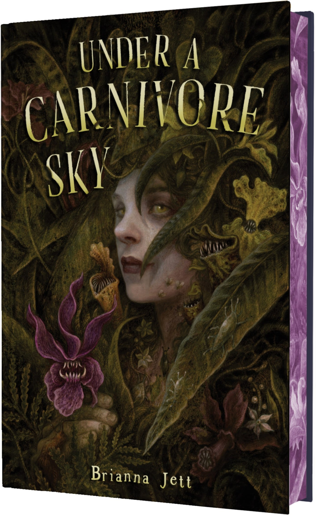 Under a Carnivore Sky by Brianna Jett