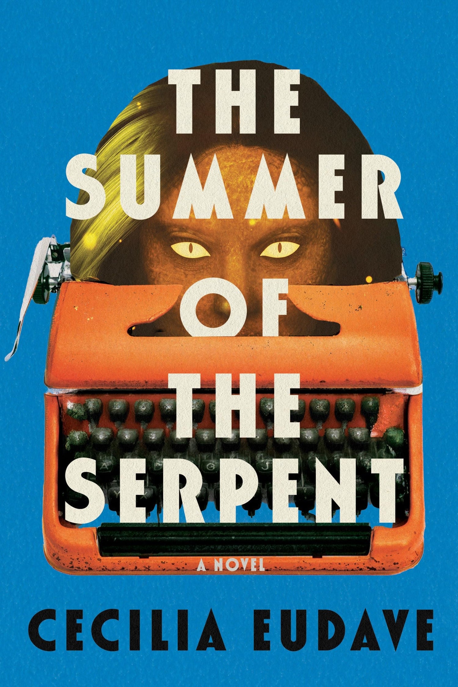 Book cover of &
