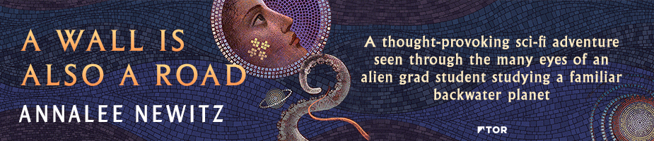 A Wall Is Also a Road by Annalee Newitz